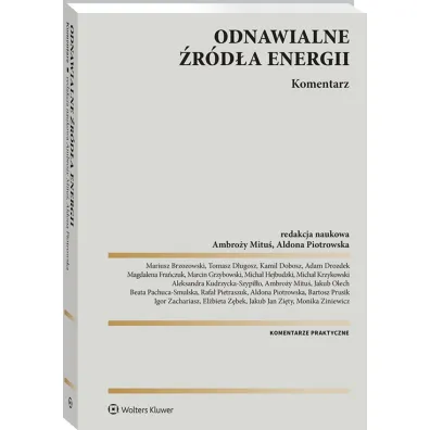 Odnawialne �r�d�a energii. Komentarz