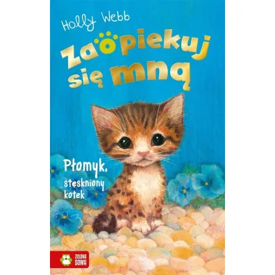 P�omyk, st�skniony kotek. Zaopiekuj si� mn� - Holly Webb
