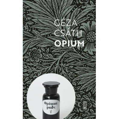 Opium. Opowiadania i dzienniki - G�za Cs�th