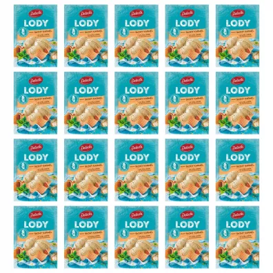 Delecta Lody w proszku o smaku s�onego karmelu zgrzewka (31.03.2025) 20 x 57 g