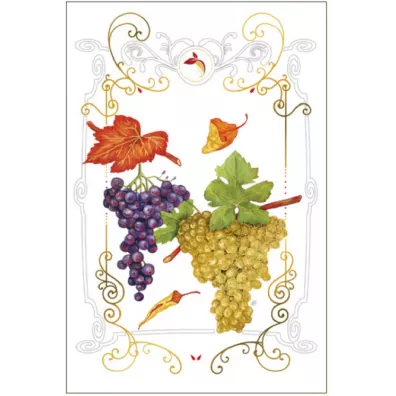 DaVinci Karnet B-BD 502 060 + koperta Winogrona 12x18 cm