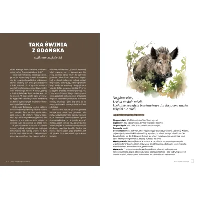 G�upie zwierz�ta Polski i jak je znale��. Przewodnik �wiadomego obserwatora