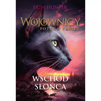 Wschd soca. Wojownicy. Potga Trjki. Tom 6 - Erin Hunter