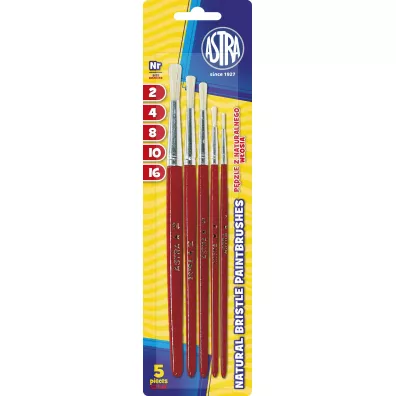 Astra Pdzle z naturalnego wosia 5 szt.