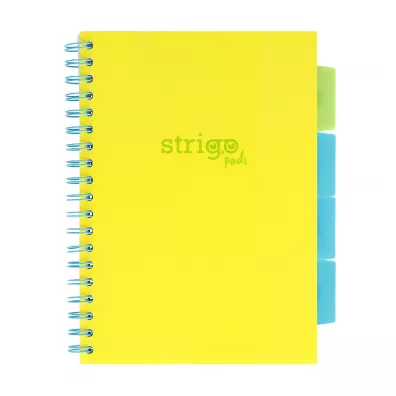 Koozeszyt Strigo B5 Project Book Neon ty w kratk