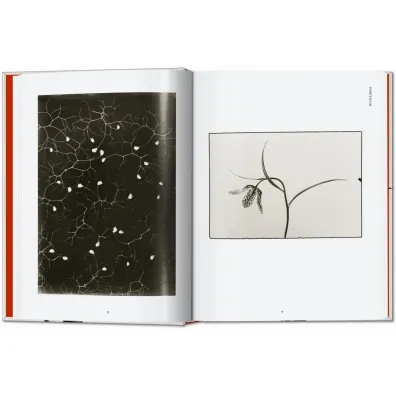Karl Blossfeldt. The Complete Published Work. 40th Ed. wer. angielska