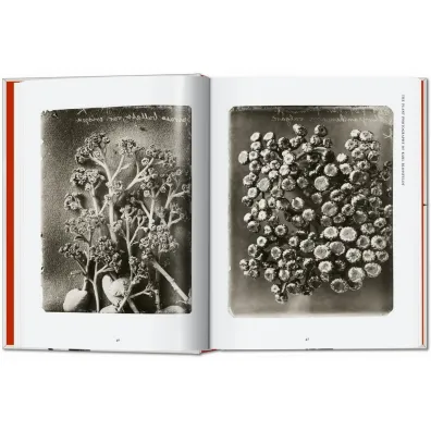 Karl Blossfeldt. The Complete Published Work. 40th Ed. wer. angielska