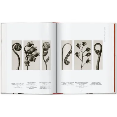 Karl Blossfeldt. The Complete Published Work. 40th Ed. wer. angielska