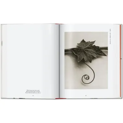 Karl Blossfeldt. The Complete Published Work. 40th Ed. wer. angielska
