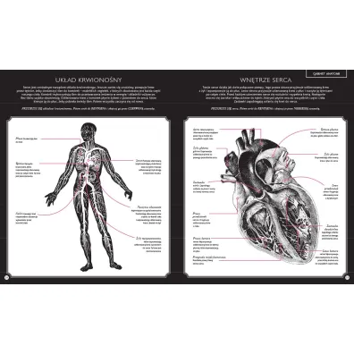 Gabinet anatomii