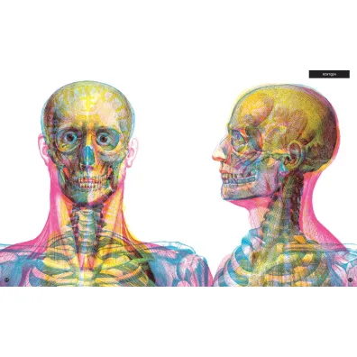 Gabinet anatomii