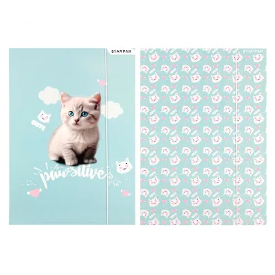 Teczka z gumk� A4 Kitty STARPAK 553545