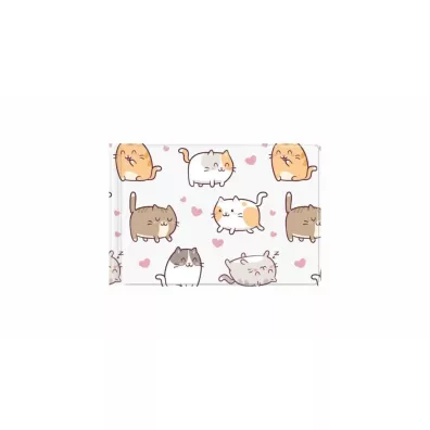 Biurfol Okadka na dokumenty ucznia mae kittens