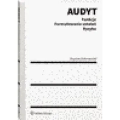 Audyt. Funkcje. Formu�owanie ustale�. Ryzyka