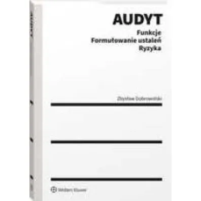 Audyt. Funkcje. Formu�owanie ustale�. Ryzyka