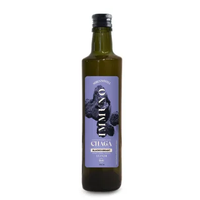 Shroomwell Suplement diety na odporno�� z chag� i czarn� porzeczk� w p�ynie 250 ml