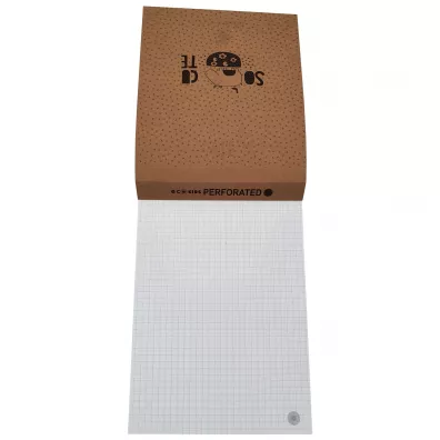 Ziemia Obiecana Notatnik roller A5 Eco Kids kratka 100 kartek