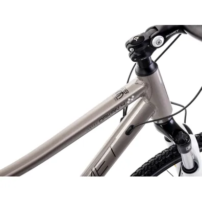 Romet Rower crossowy ORKAN 4 D 2024 szampasko-czarno-srebrny 20 L