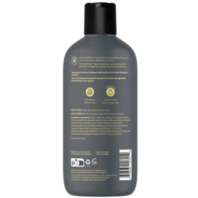 Attitude SUPER LEAVES, �el pod prysznic, dla m�czyzn 415 ml