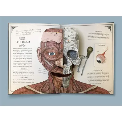 The Human Body. A Pop-Up Guide to Anatomy wer. angielska