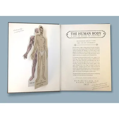 The Human Body. A Pop-Up Guide to Anatomy wer. angielska