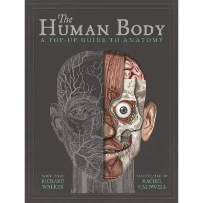 The Human Body. A Pop-Up Guide to Anatomy wer. angielska