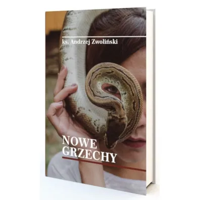 Nowe grzechy - Andrzej Zwoli�ski