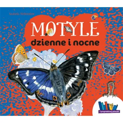 Motyle dzienne i nocne - Izabela Sielezniew