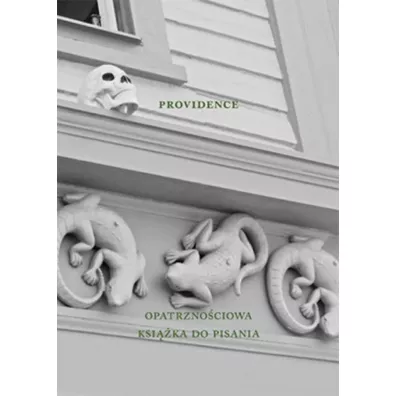 Austeria Providence. Opatrznociowa ksika do pisania 158 kartek - Agnieszka Taborska
