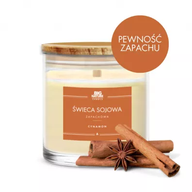 Big Nature wieca sojowa zapachowa Cynamon 150 g