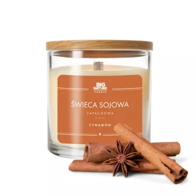 Big Nature wieca sojowa zapachowa Cynamon 150 g