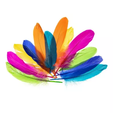 Brewis Pirka gsie nenowy 15-20cm