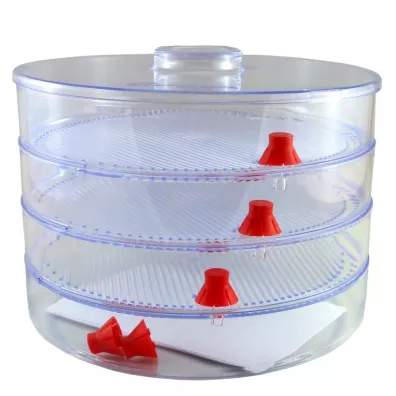 Bio Natura Naczynie do kiekw (kiekownica)