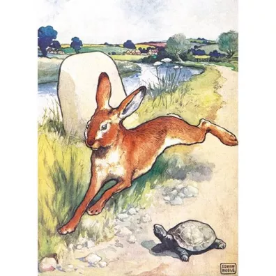 Museums & Galleries Karnet B6 z kopert� The Hare and the Tortoise