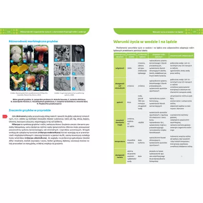 Biologia. Repetytorium. Liceum i technikum