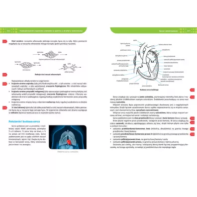 Biologia. Repetytorium. Liceum i technikum