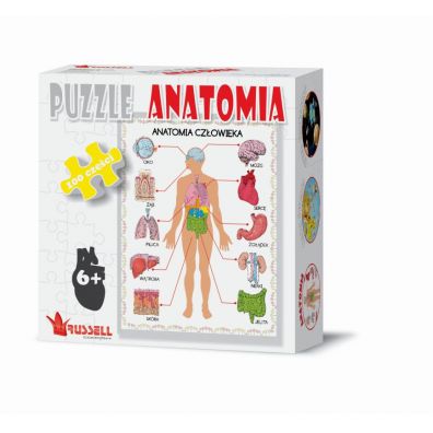Puzzle 100 el. Anatomia Russell
