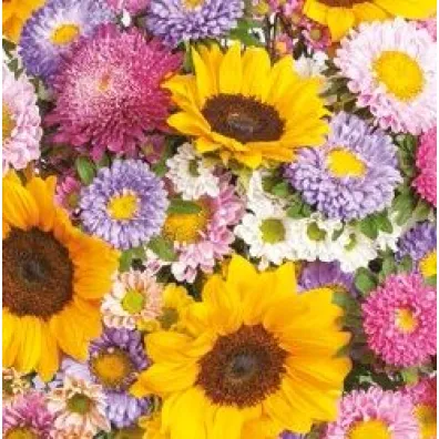 Serwetka Lunch - Colorful Summer Flowers Background SLOG045201