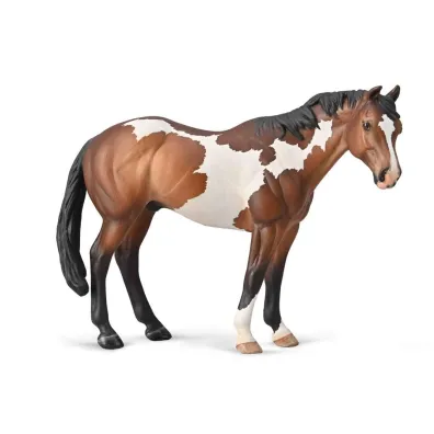 Appaloosa ogier