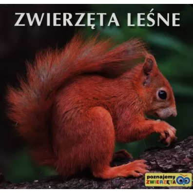 Poznajemy zwierzta - Zwierzta lene - Sztywniaczek
