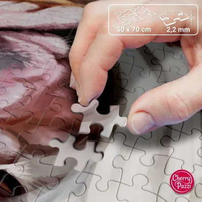 Puzzle 1000 el. Bon voyage! CherryPazzi
