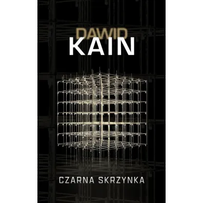 Czarna skrzynka - Dawid Kain