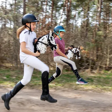 Hobby Horse Skippi. Ko� na kiju gniado-srokaty