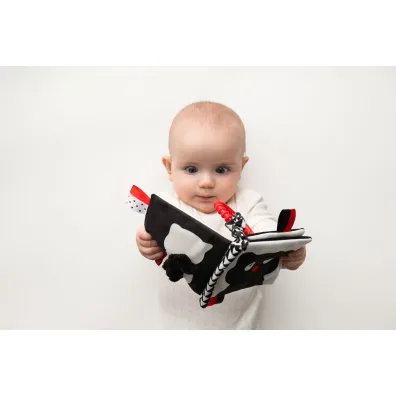 Ksi��eczka Kto to? Co to? Hencz Toys