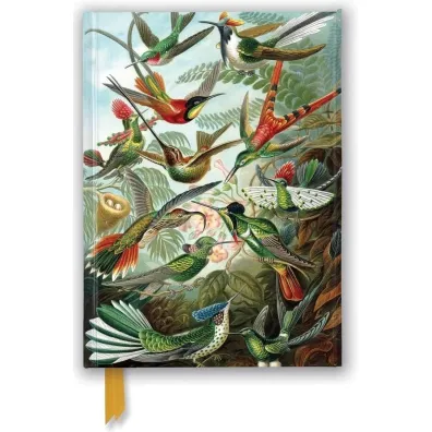 Flame Tree Notatnik A5 Kolibry Ernst Haeckel linia