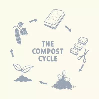 Greenaware Kompostowalna dwustronna gbka do mycia naczy