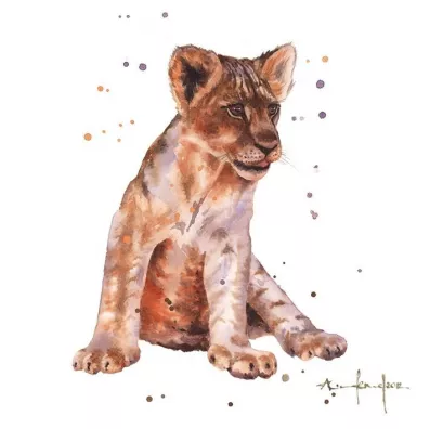 Museums & Galleries Karnet kwadrat ma�y z kopert� Lion Cub