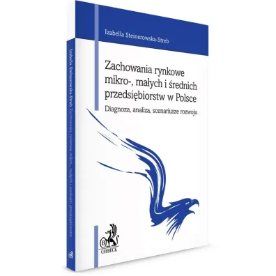 Internacjonalizacja przedsi�biorstw na rynku Unii Europejskiej - uj�cie marketingowe - Marcin Komor
