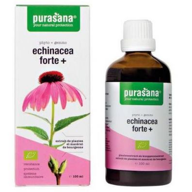 Purasana Echinacea forte - jeżówka purpurowa Suplement diety 100 ml Bio