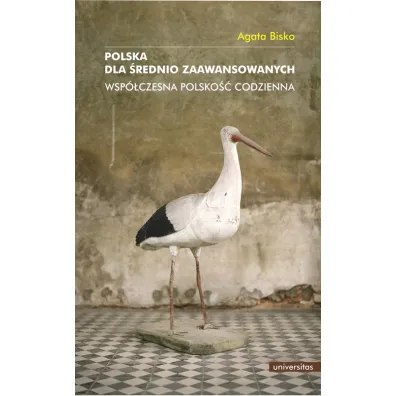 Polska dla �rednio zaawansowanych. Wsp�czesna polsko�� codzienna - Agata Bisko